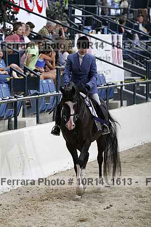 Proof Number 10r14_1613