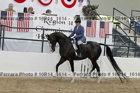 Proof Number 10r14_1614