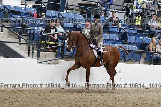 Proof Number 10r14_1616
