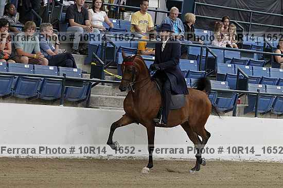 Proof Number 10r14_1652