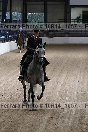 Proof Number 10r14_1657