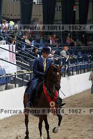 Proof Number 10r14_1662