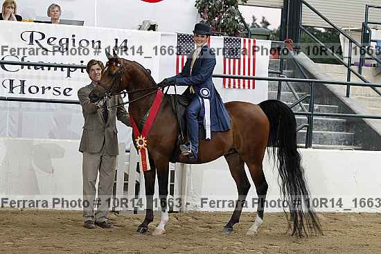 Proof Number 10r14_1663