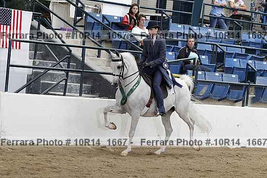 Proof Number 10r14_1667