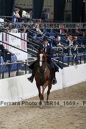 Proof Number 10r14_1669