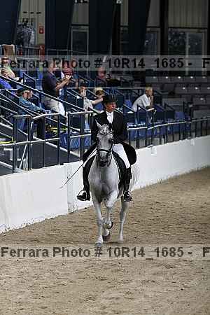 Proof Number 10r14_1685