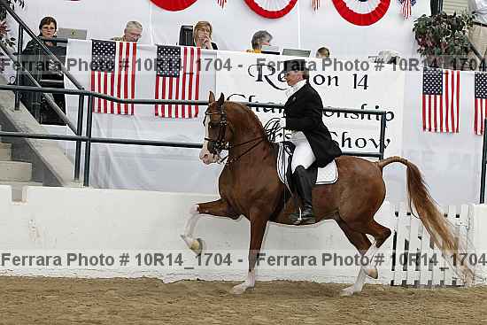 Proof Number 10r14_1704