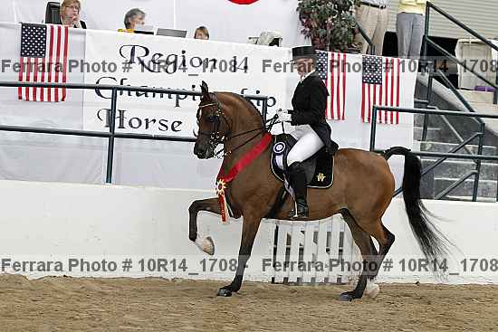 Proof Number 10r14_1708
