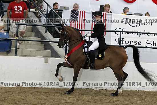 Proof Number 10r14_1709