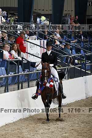 Proof Number 10r14_1710