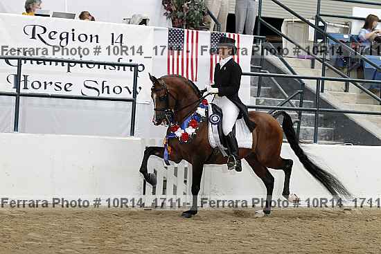 Proof Number 10r14_1711