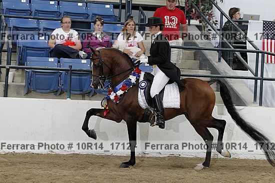 Proof Number 10r14_1712