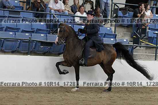 Proof Number 10r14_1728