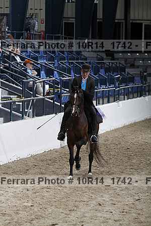 Proof Number 10r14_1742