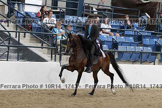Proof Number 10r14_1743