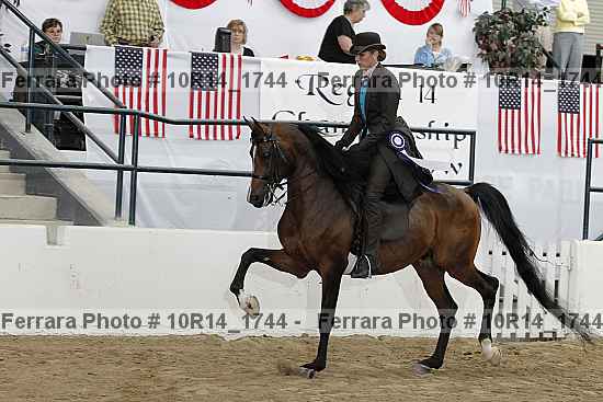 Proof Number 10r14_1744