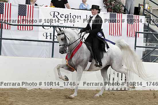Proof Number 10r14_1746