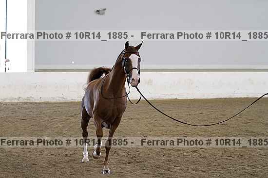 Proof Number 10r14_1885