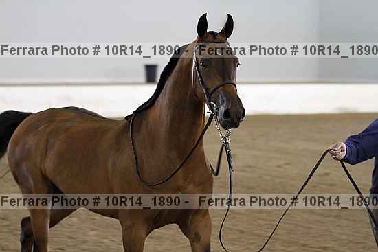 Proof Number 10r14_1890