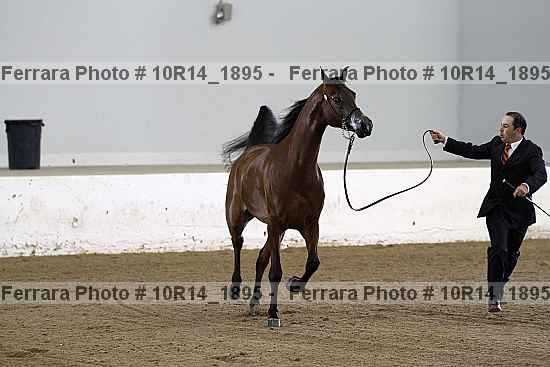 Proof Number 10r14_1895