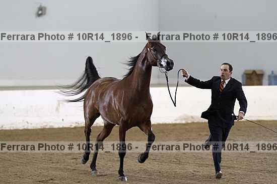 Proof Number 10r14_1896