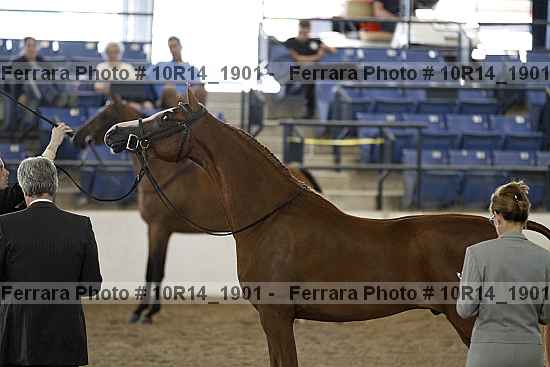 Proof Number 10r14_1901