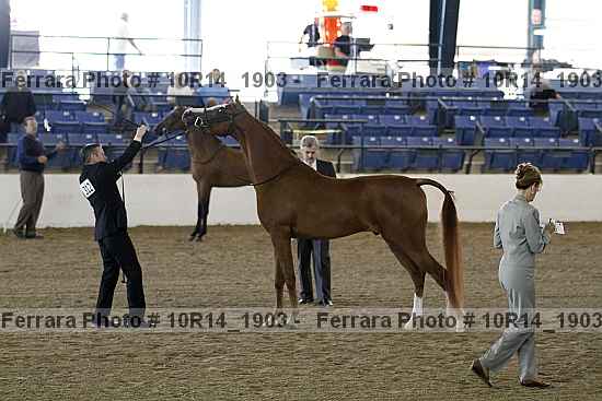 Proof Number 10r14_1903