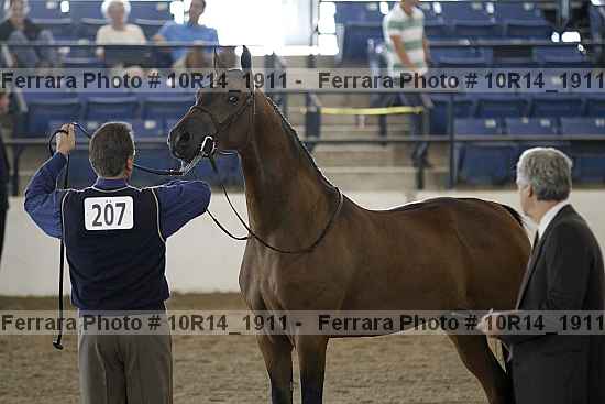 Proof Number 10r14_1911