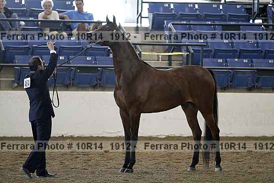 Proof Number 10r14_1912