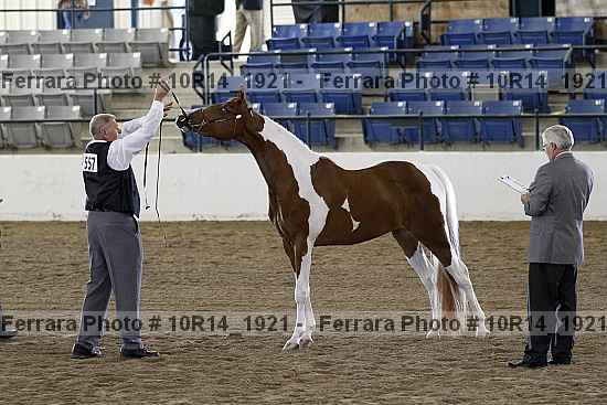 Proof Number 10r14_1921