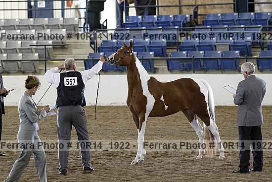 Proof Number 10r14_1922