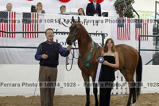 Proof Number 10r14_1928