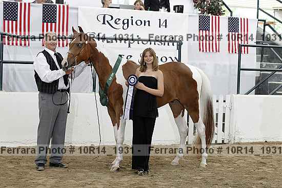 Proof Number 10r14_1931