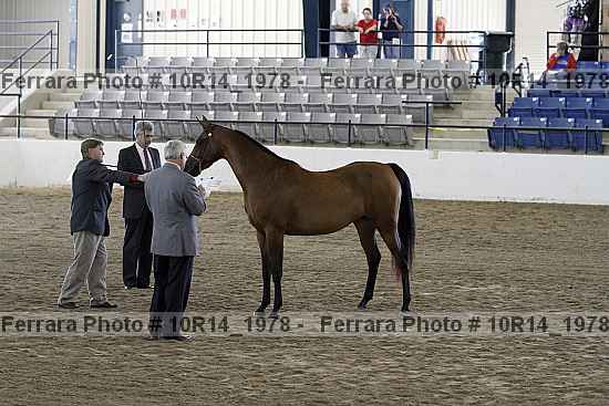 Proof Number 10r14_1978
