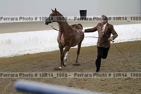 Proof Number 10r14_1988