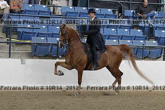 Proof Number 10r14_2012