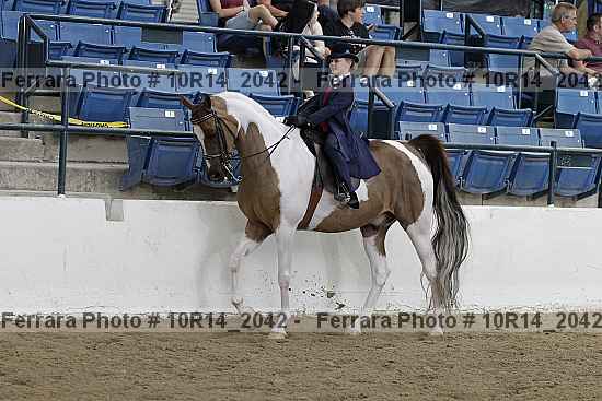 Proof Number 10r14_2042