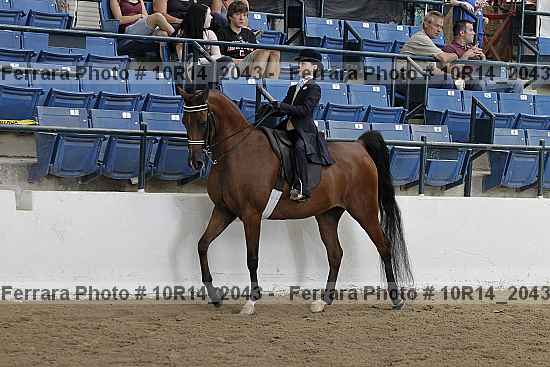 Proof Number 10r14_2043