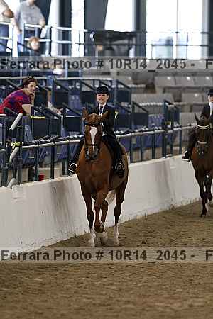 Proof Number 10r14_2045