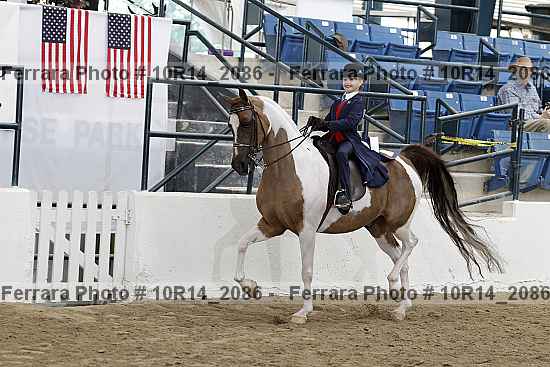 Proof Number 10r14_2086