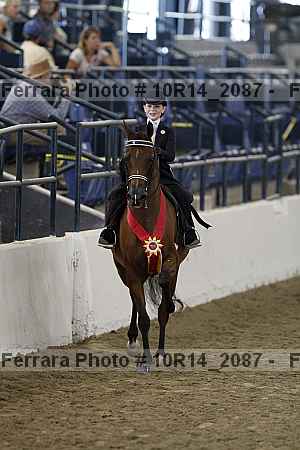 Proof Number 10r14_2087