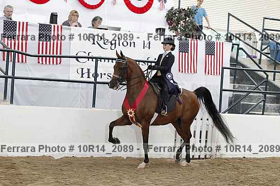 Proof Number 10r14_2089