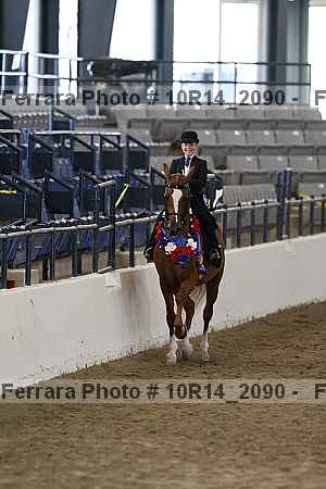 Proof Number 10r14_2090