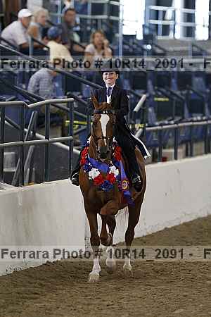 Proof Number 10r14_2091