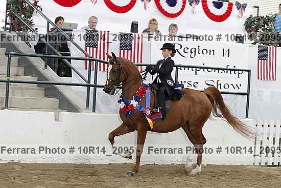 Proof Number 10r14_2095