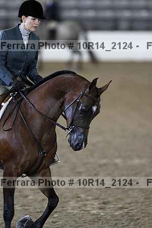 Proof Number 10r14_2124