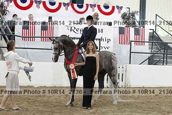 Proof Number 10r14_2136