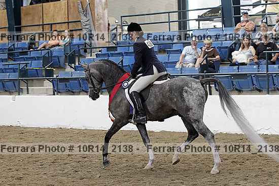 Proof Number 10r14_2138