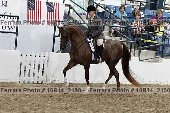 Proof Number 10r14_2150