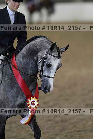 Proof Number 10r14_2157